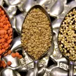 Lenticchie, cibo povero ma ricco di proprietà.