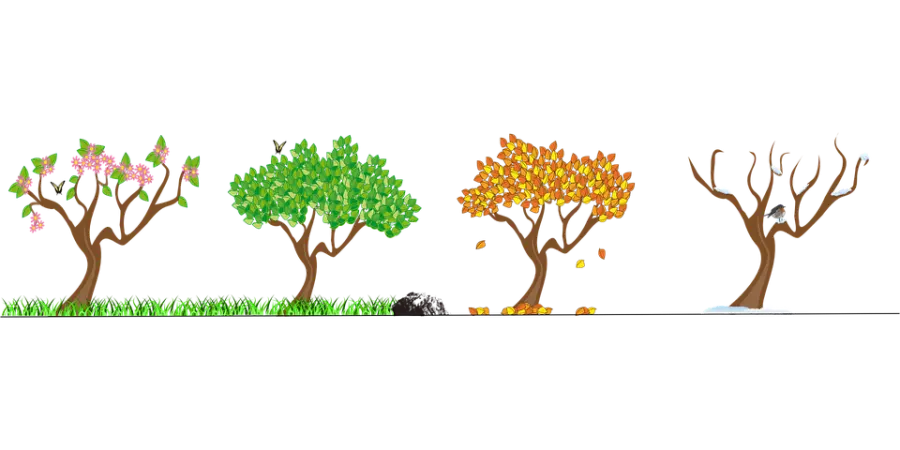 Cambio di stagione, periodo di disturbi.