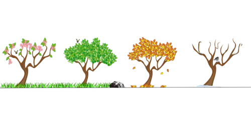 Cambio di stagione, periodo di disturbi.